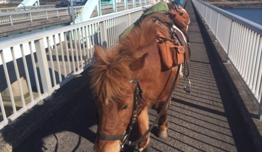 「馬に乗って日本縦断...？」様々な移動手段・方法で日本一周する旅人たちを紹介する