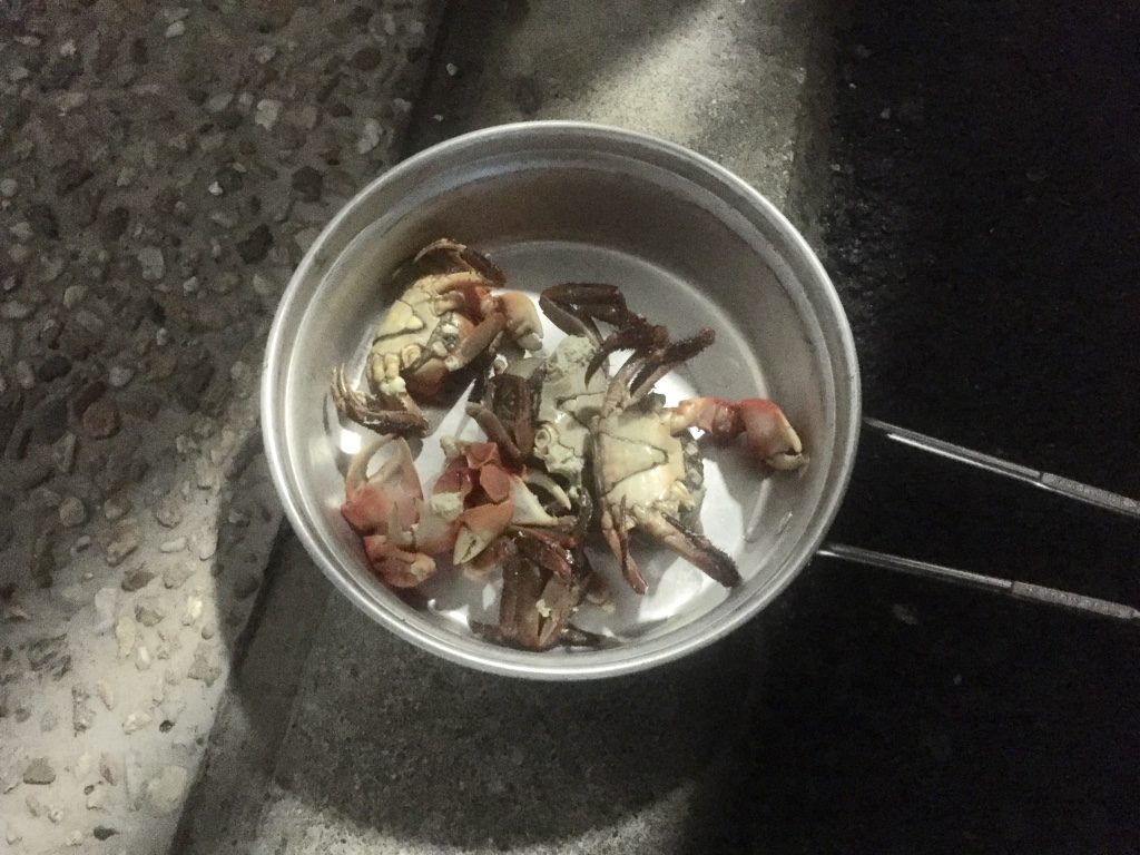アカテガニ って食べれるの 実際に料理して食べてみた 淡水カニ Tsuritabi
