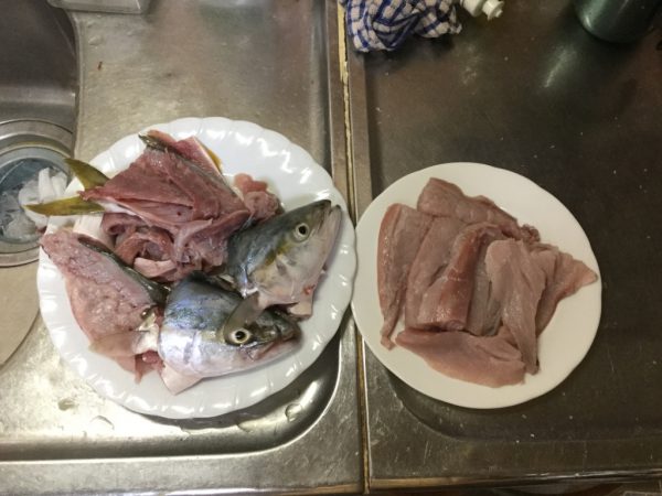 ツバス ブリ の刺し身 照り焼き アラ煮をつくってみた 釣り魚レシピ Tsuritabi