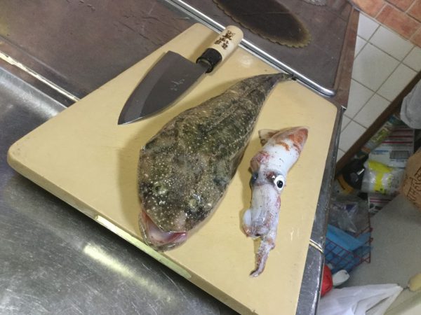 マゴチが釣れたので 3枚に下ろして刺身にしてみた 甘くて絶品だ 釣り魚レシピ Tsuritabi