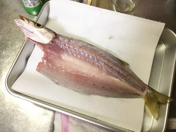 カマス 豆アジ イワシの一夜干しを作ってみた 作り方 レシピ Tsuritabi