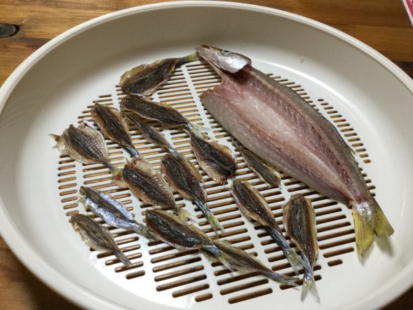 カマス 豆アジ イワシの一夜干しを作ってみた 作り方 レシピ Tsuritabi