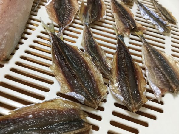 カマス 豆アジ イワシの一夜干しを作ってみた 作り方 レシピ Tsuritabi