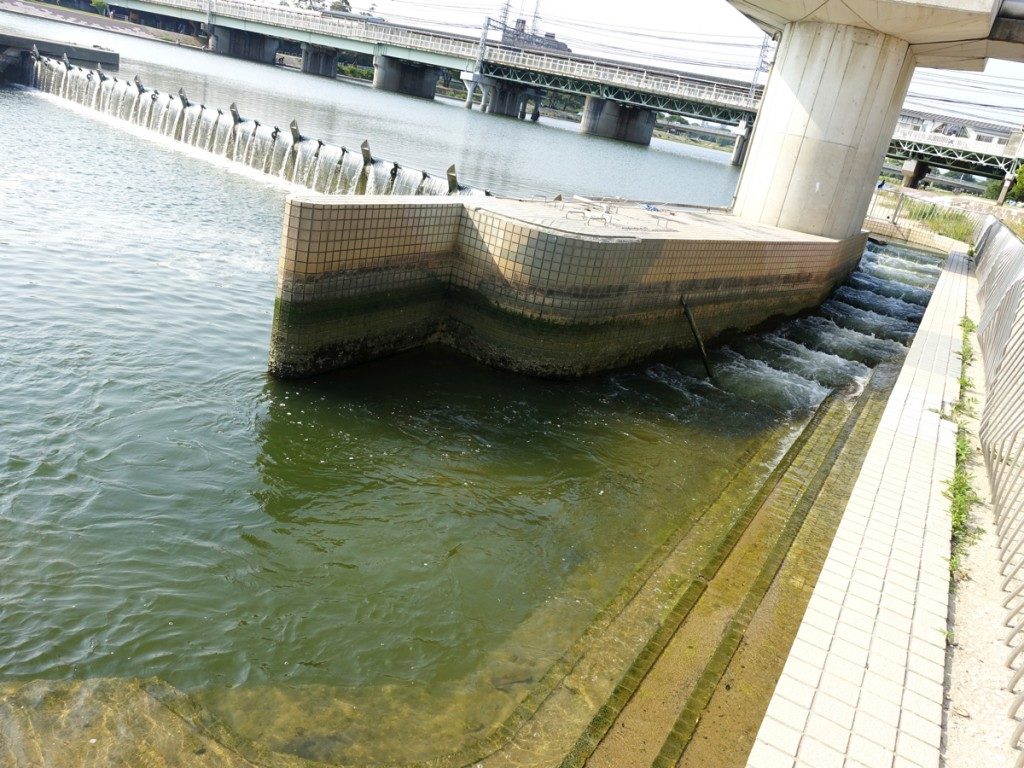 釣り場解説 武庫川河口の釣りポイント アクセス 釣れる魚種まとめ Tsuritabi