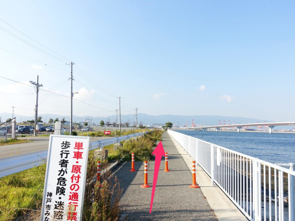 釣り場紹介 神戸空港ベランダの釣りポイント アクセス 釣れる魚種まとめ Tsuritabi