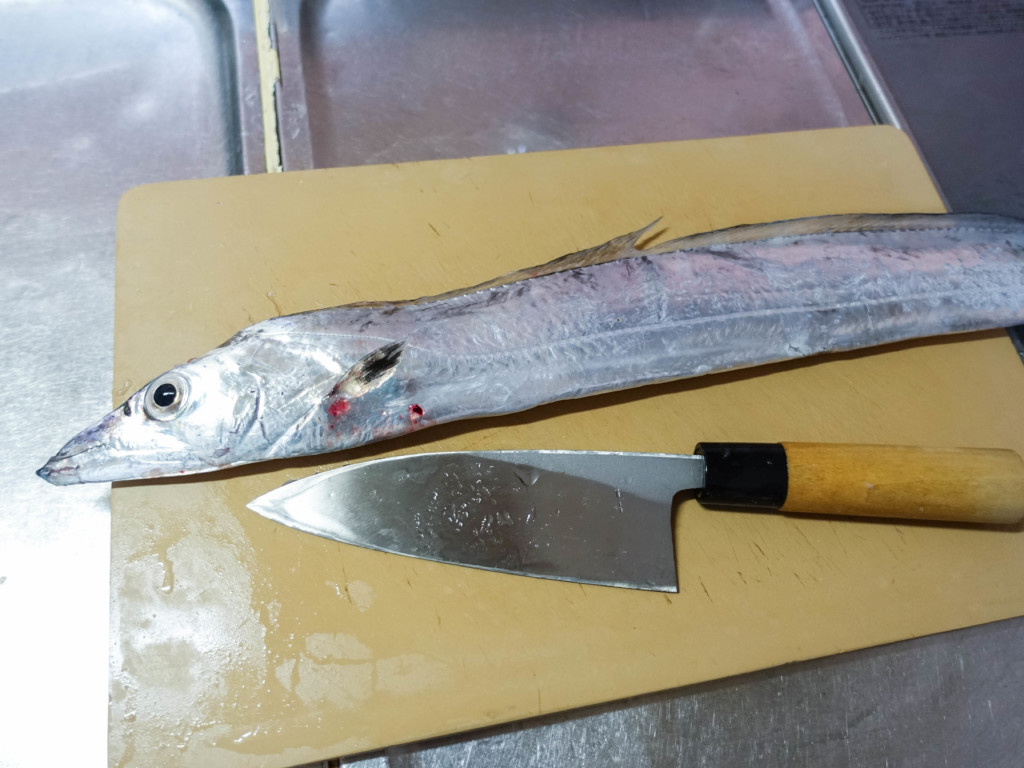 保存版 タチウオ 太刀魚 のさばき方 刺し身の作り方 美味しくいただくためのコツ Tsuritabi