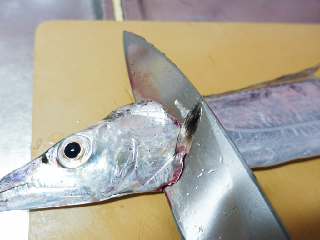 保存版 タチウオ 太刀魚 のさばき方 刺し身の作り方 美味しくいただくためのコツ Tsuritabi