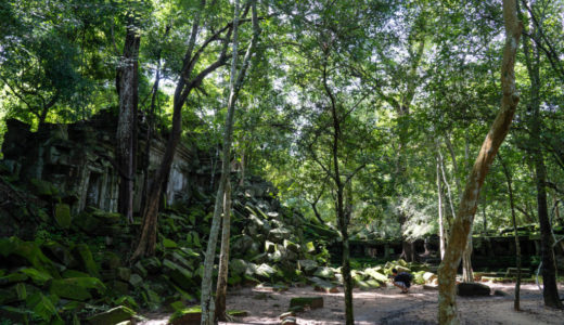 [画像40枚]森林に眠る巨大遺跡「ベンメリア」で廃墟めぐりを楽しむ！【アクセス・所要時間・ツアー情報】